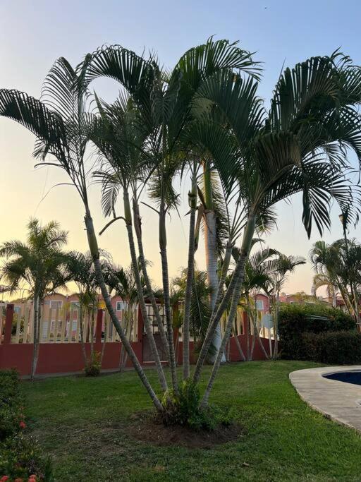Casa Con Alberca A 8 Min De Playa Apartment Ixtapa  Exterior foto